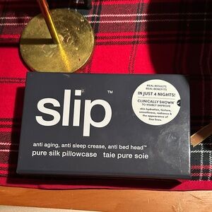 Slip Dark Grey Silk Pillowcase BNWT